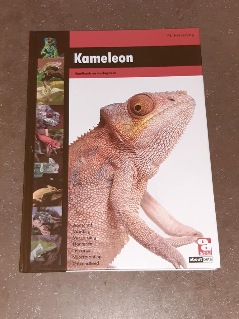 Kameleon over dieren nieuwstaat, Ophalen of Verzenden, Zo goed als nieuw, Katten