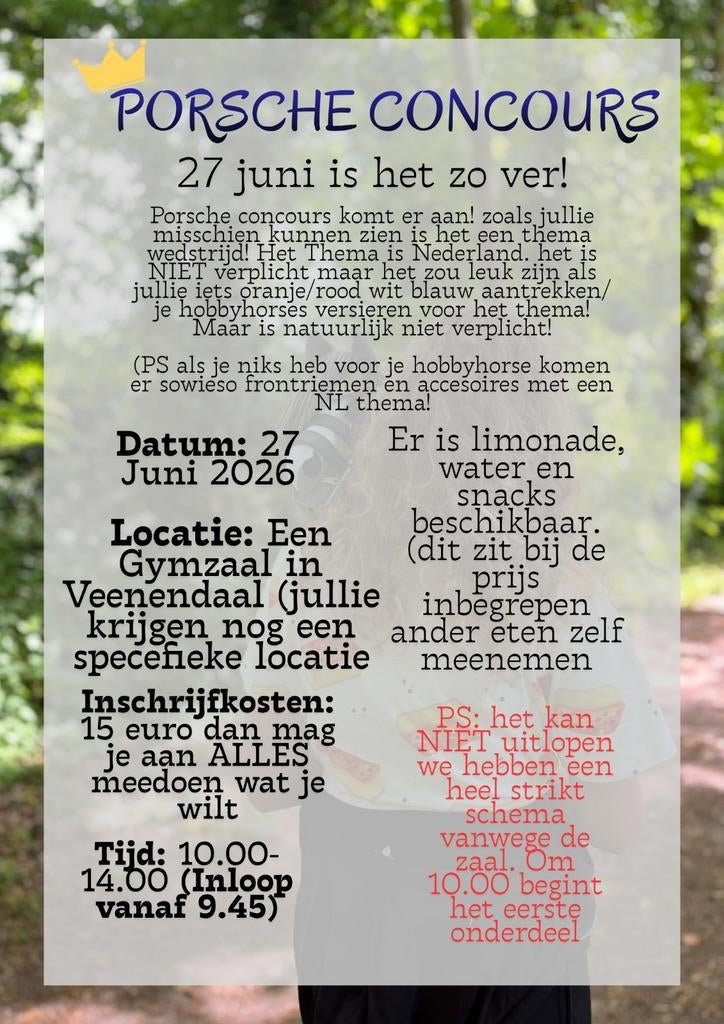 Hobbyhorse Wedstrijd Veenendaal, Hobby en Vrije tijd, Ophalen of Verzenden, Zo goed als nieuw