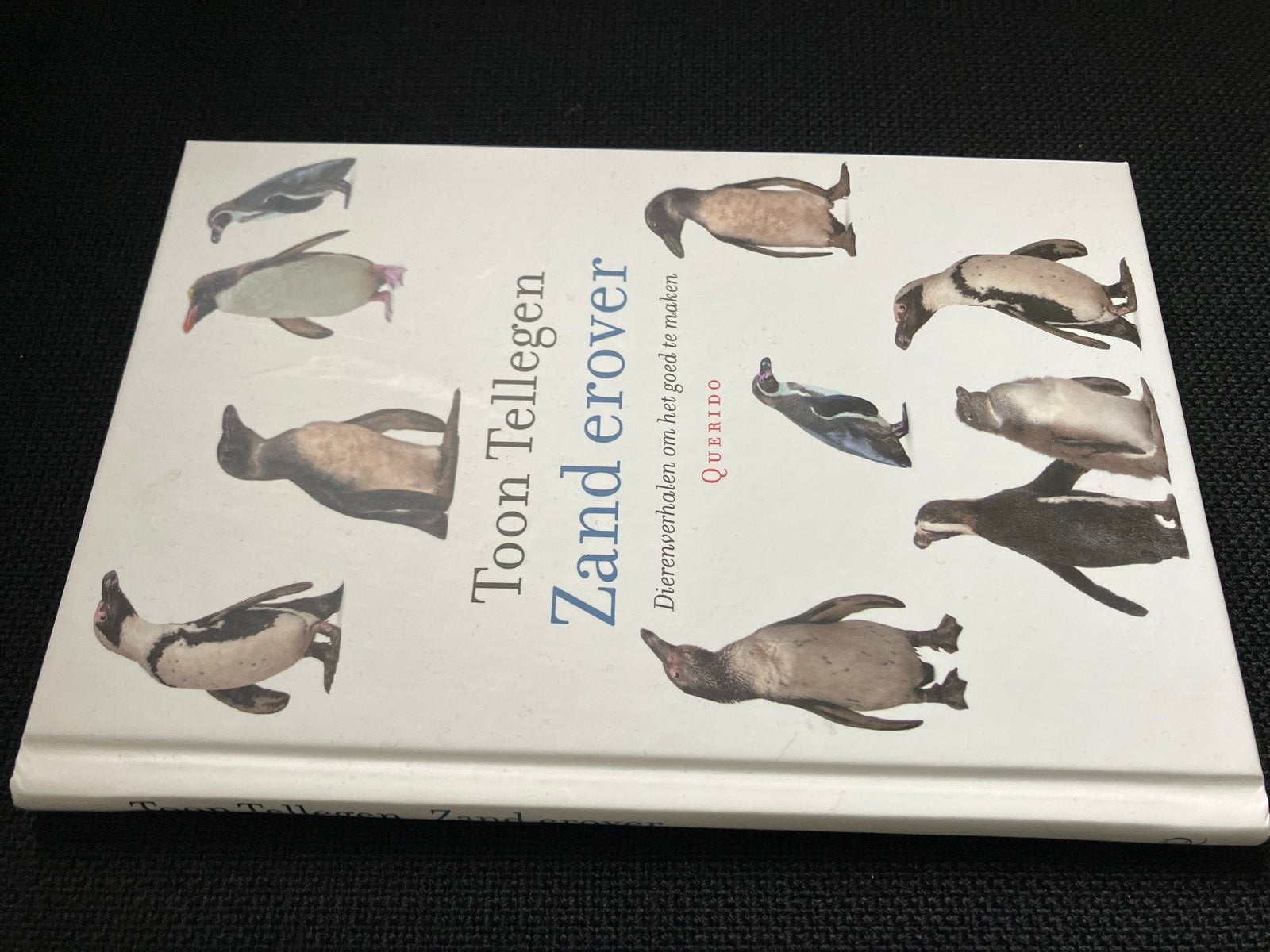 Toon Tellegen - Zand erover (Dierenverhalen), Boeken, Ophalen of Verzenden, Nieuw, Overige onderwerpen