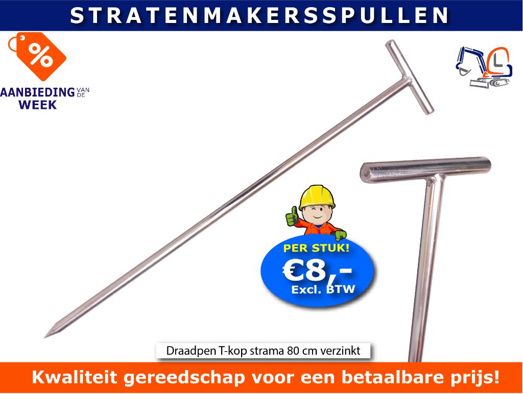 Draadpen T-kop strama 80 cm verzinkt, Tuin en Terras, Hand-tuingereedschap, Nieuw, Ophalen of Verzenden