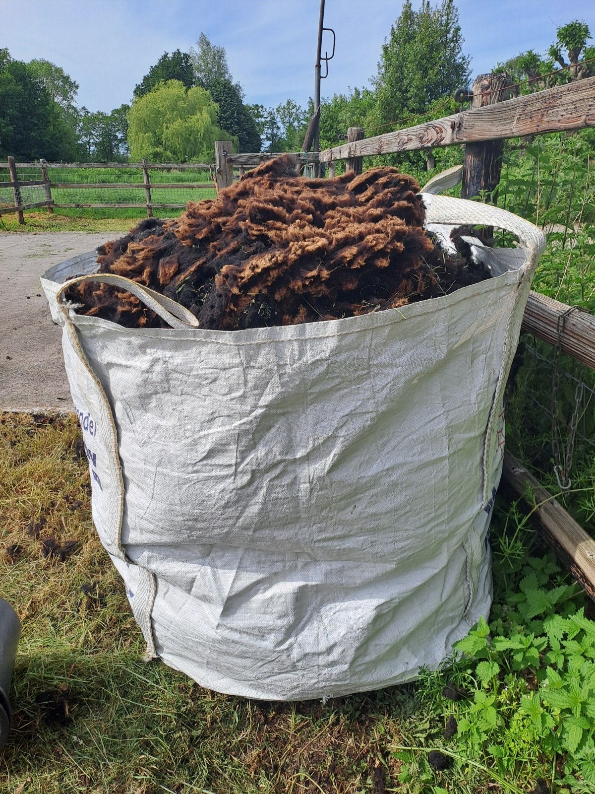 Gratis zwartbles wol, Meerdere dieren, Schaap
