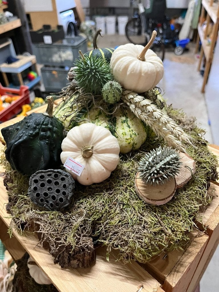 Decoratieve/opgemaakte pompoenen, Ophalen, Nieuw