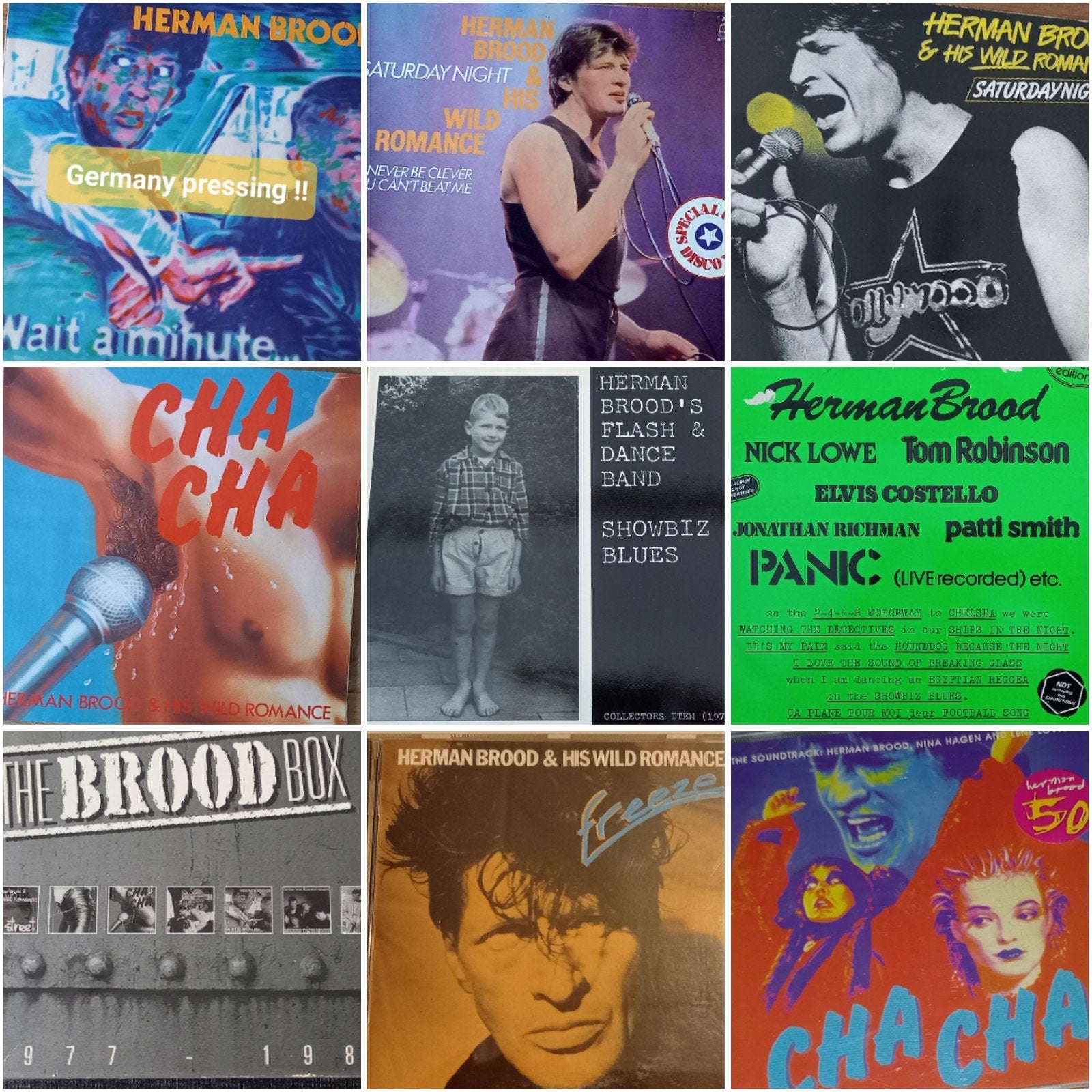 Herman Brood muziek collectie, Ophalen of Verzenden, Zo goed als nieuw, Cd of Plaat