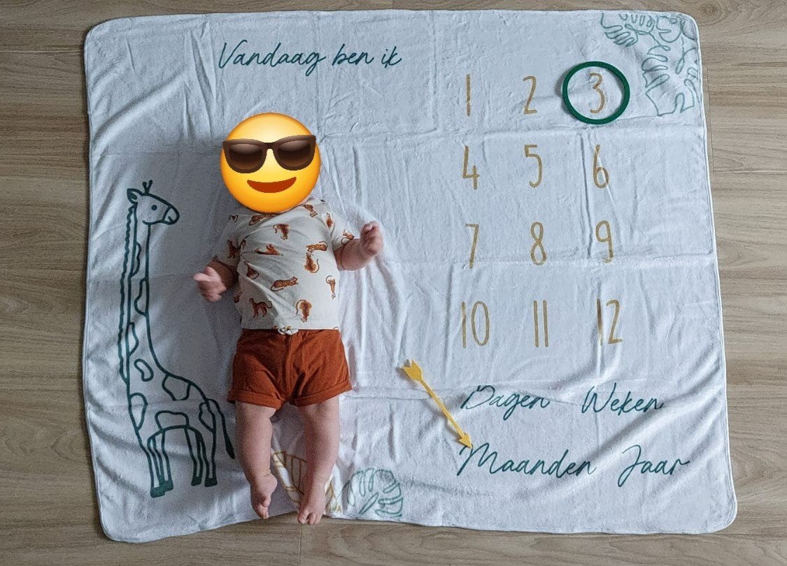 Baby mijlpaal deken, Ophalen, Zo goed als nieuw