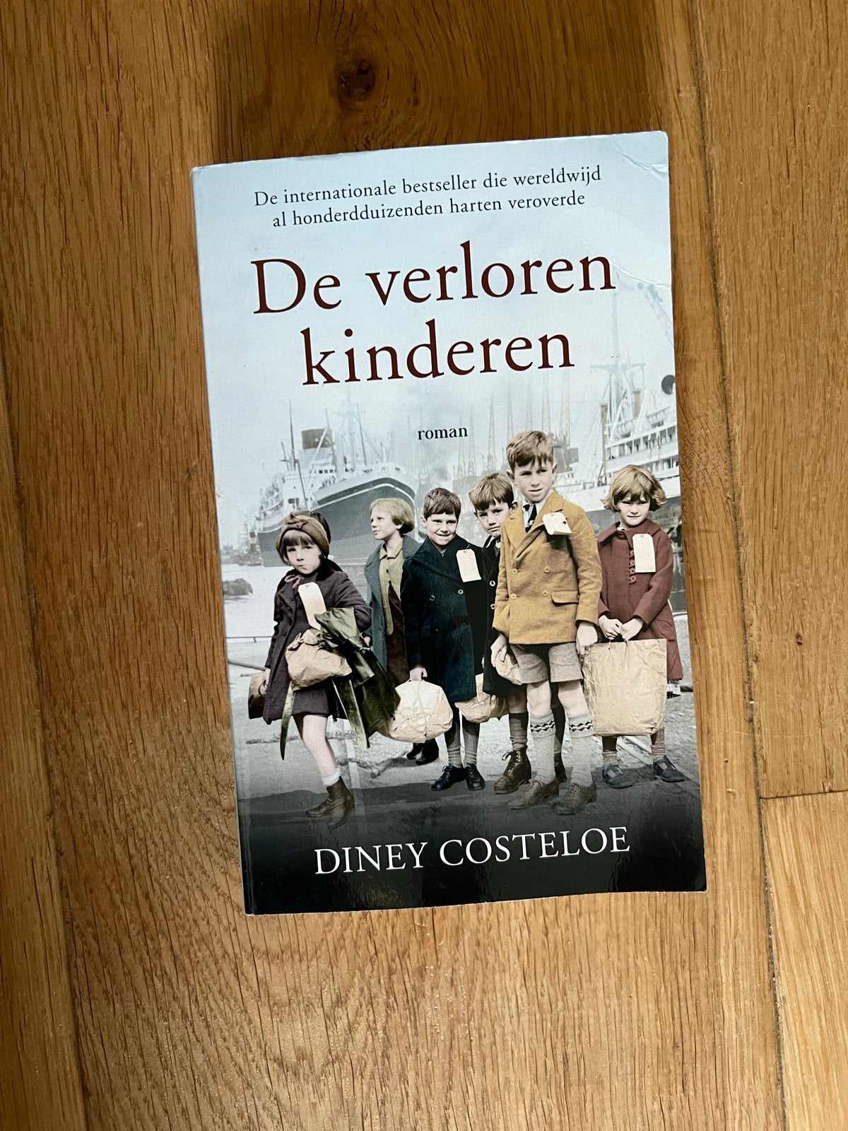 De verloren kinderen - Diney Costeloe, Boeken, Ophalen of Verzenden, Gelezen, Europa overig