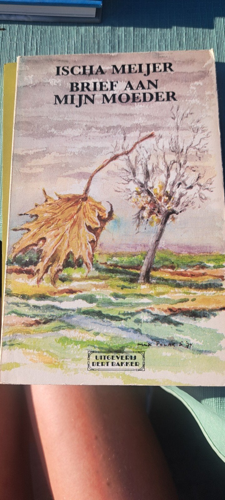 Ischa Meijer - Brief aan mijn moeder (1974), Boeken, Ophalen of Verzenden, Gelezen, Ischa Meijer, Nederland