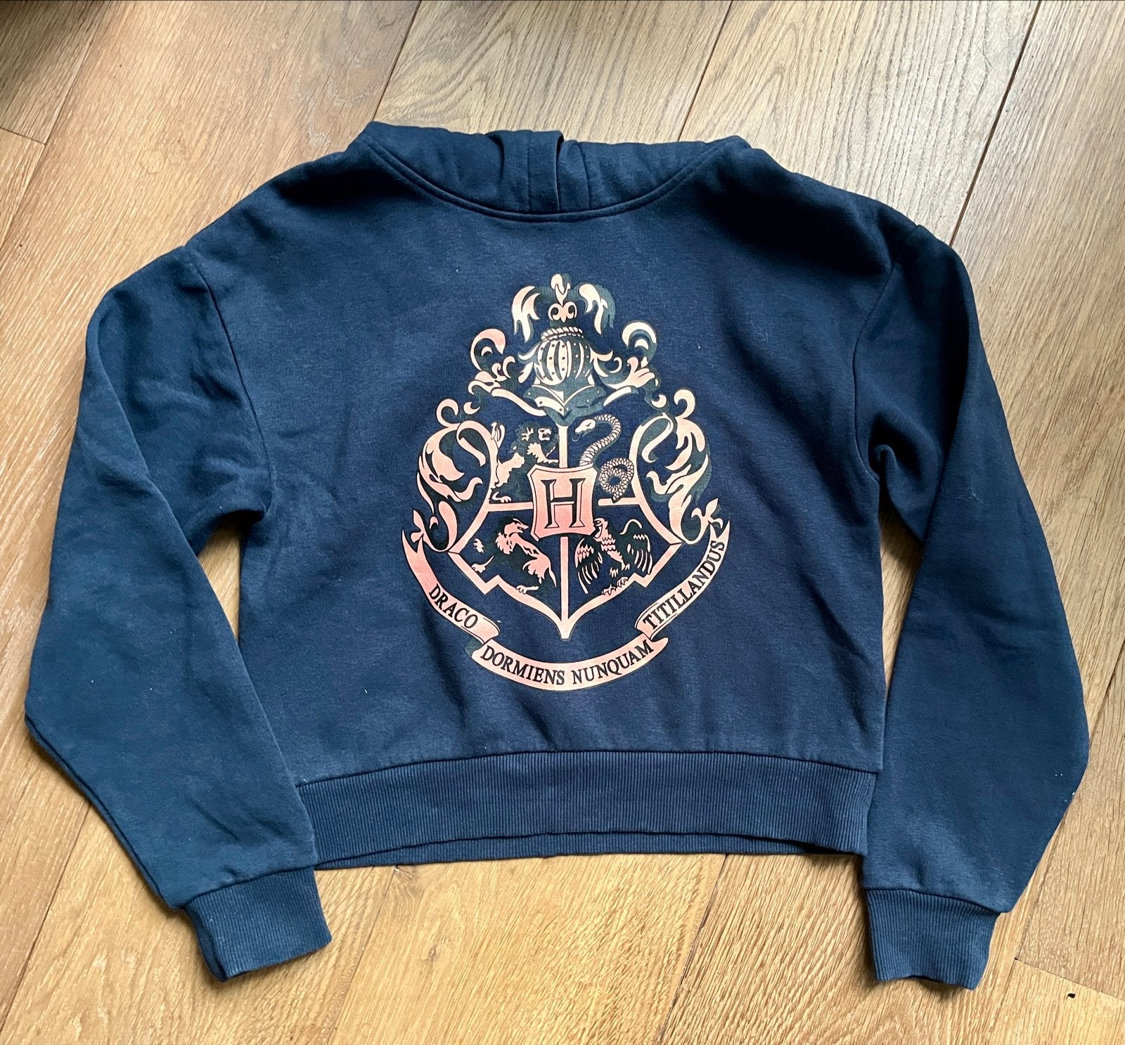 Harry Potter Hogwarts meisjes hoodie Donkerblauw - maat 134, Ophalen of Verzenden, Zo goed als nieuw, Meisje, Trui of Vest
