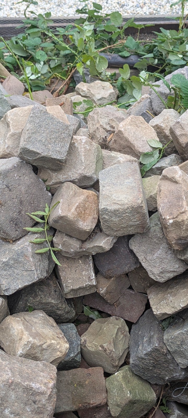 Kasseien / Kinderkopjes Natuursteen - ca. 100 stuks, Ophalen, Gebruikt, Natuursteen