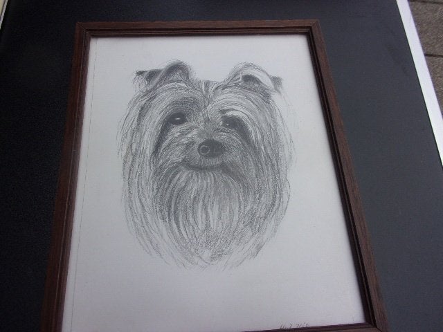 schets hond, Ophalen of Verzenden, Gebruikt, Minder dan 50 cm, Schilderij