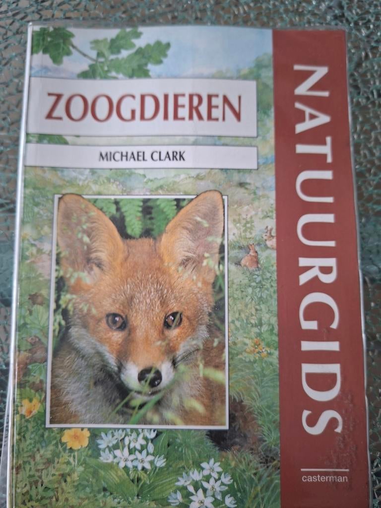 M. Clark - Zoogdieren - Natuurgids, Ophalen of Verzenden, Zo goed als nieuw, M. Clark, Non-fictie