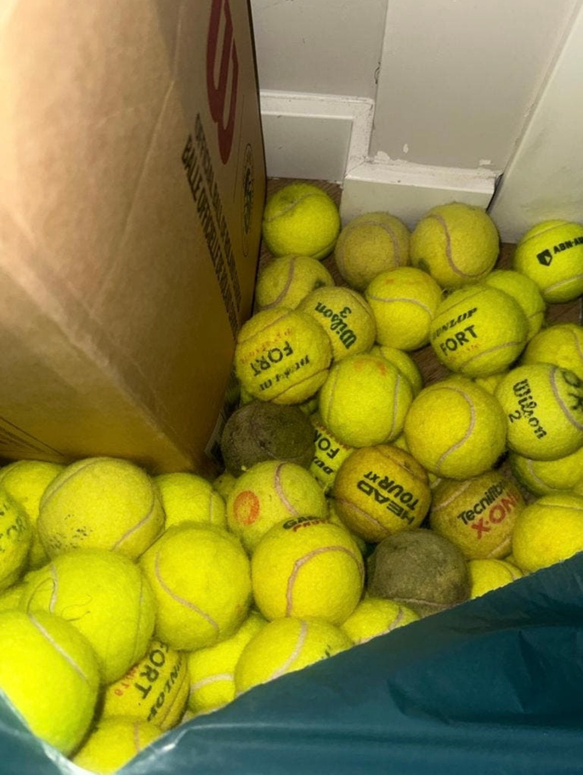 Oude tennisballen, Ophalen of Verzenden, Gebruikt, Hondenballen
