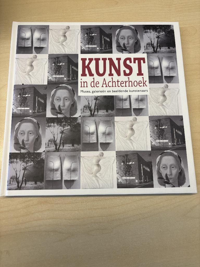 boek Kunst in de Achterhoek, Ophalen of Verzenden, Zo goed als nieuw, Willem Beemers en Anne van der Meiden, Overige onderwerpen