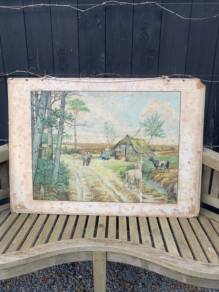 Schoolplaat - De heide in mei, Antiek en Kunst, Ophalen, Natuur en Biologie