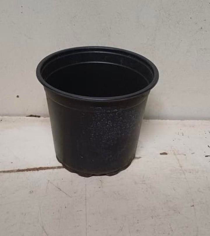 Kweekpotten plantenpotten bloempotten 1,5 liter, Tuin en Terras, Kunststof, Gebruikt, Rond, Ophalen of Verzenden