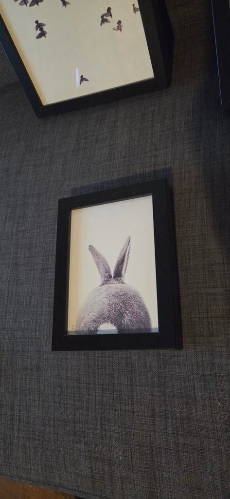 Zwarte fotolijsten, Huis en Inrichting, Woonaccessoires | Lijsten, Ophalen, Minder dan 50 cm, Gebruikt, Minder dan 50 cm