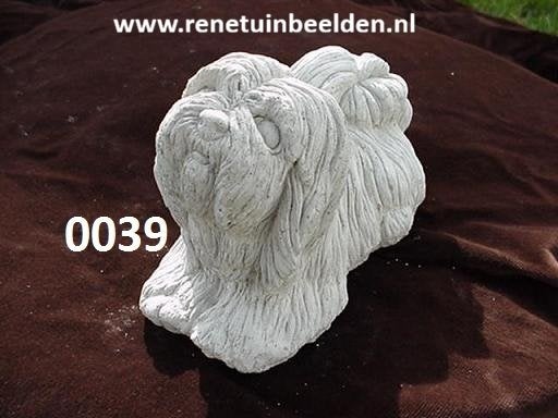 Shih Tzu Hond.   nr 0039, Ophalen of Verzenden, Nieuw, Beton, Dierenbeeld