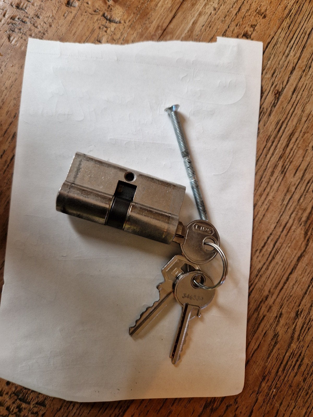 Lips cilinderslot met 3 sleutels, Ophalen of Verzenden, Gebruikt, Rvs, Slot