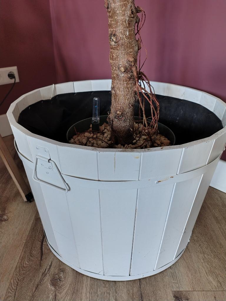 Plantenbak bloempot, Tuin en Terras, Ophalen, Overige materialen, Gebruikt, Rond