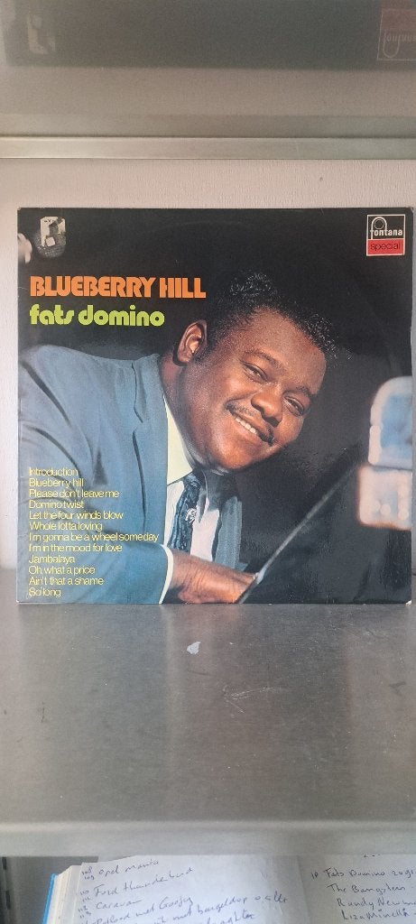 lp Fats Domino-Blueberry Hill (Z250-17), Cd's en Dvd's, Ophalen of Verzenden, Zo goed als nieuw, LP