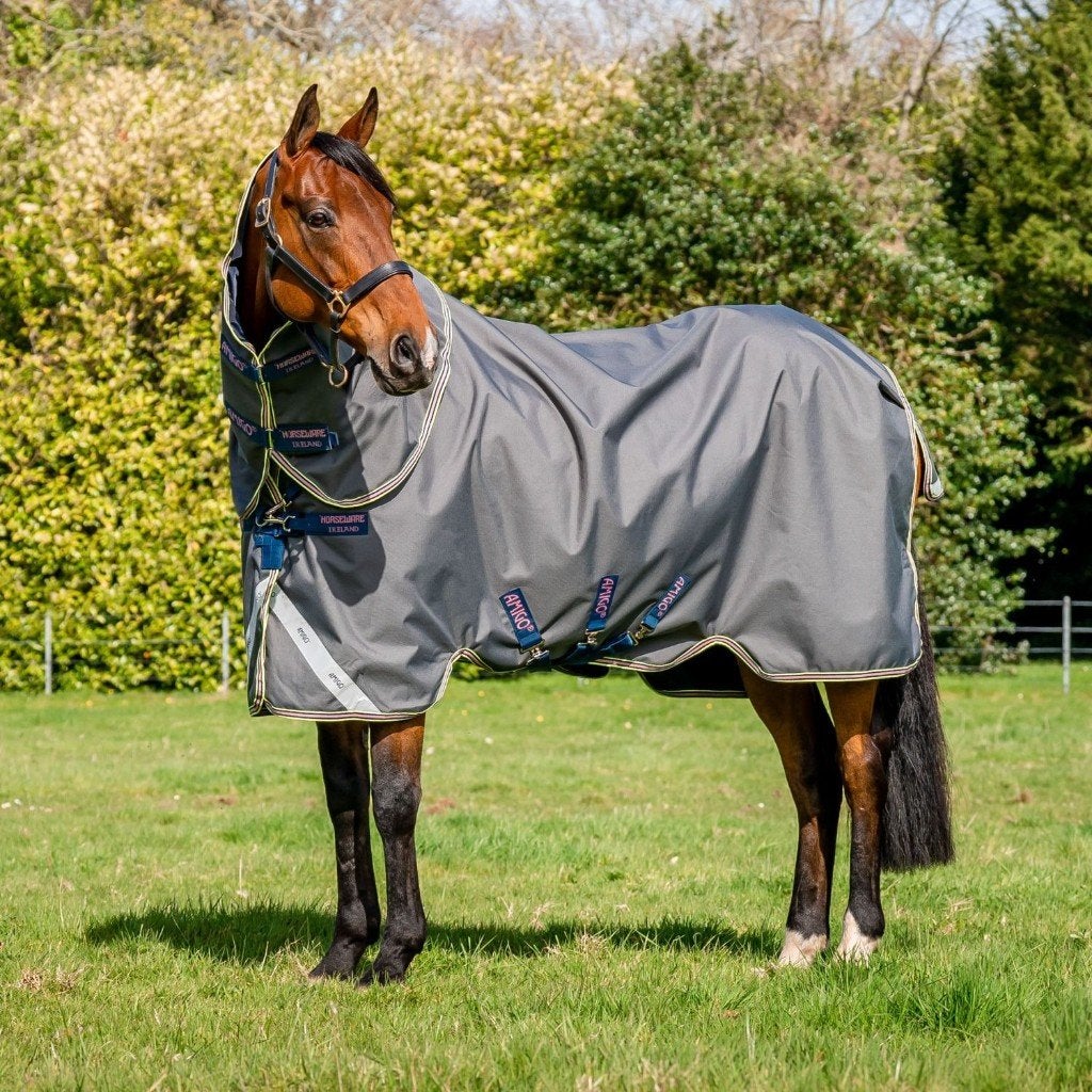Amigo Bravo 12 Plus 0gr. Lite Pony, maat 152 (5'0), Nieuw, Ophalen of Verzenden, Pony (P), Grijs