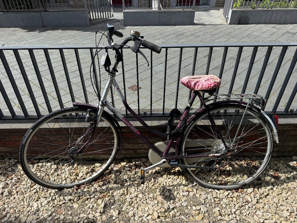 Women's Bicycle, Ophalen, Gebruikt, Overige merken