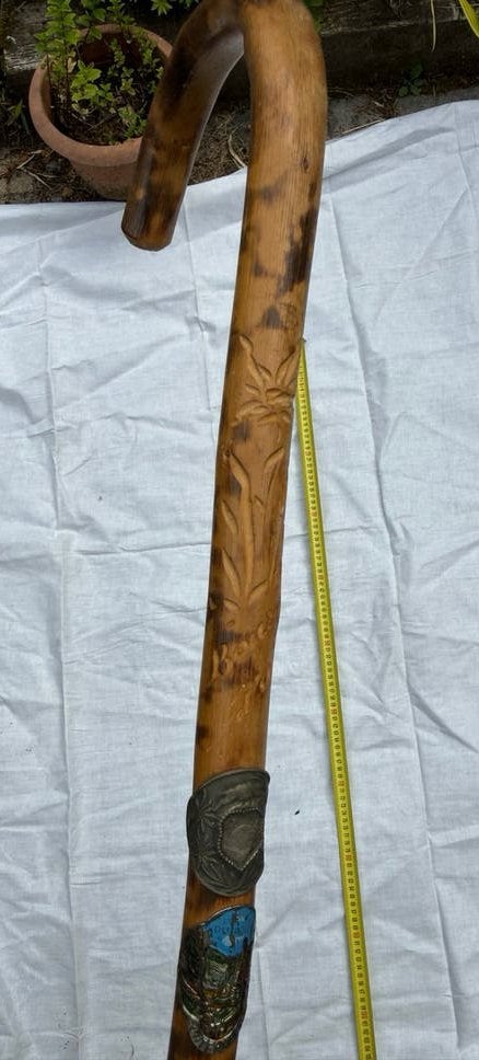 Vintage alpen wandelstok, Ophalen of Verzenden