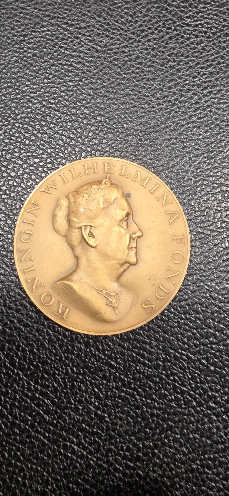 bronzen waarderingspenning v. Koningin Wilhelmina Fonds, Ophalen of Verzenden, Koningin Wilhelmina