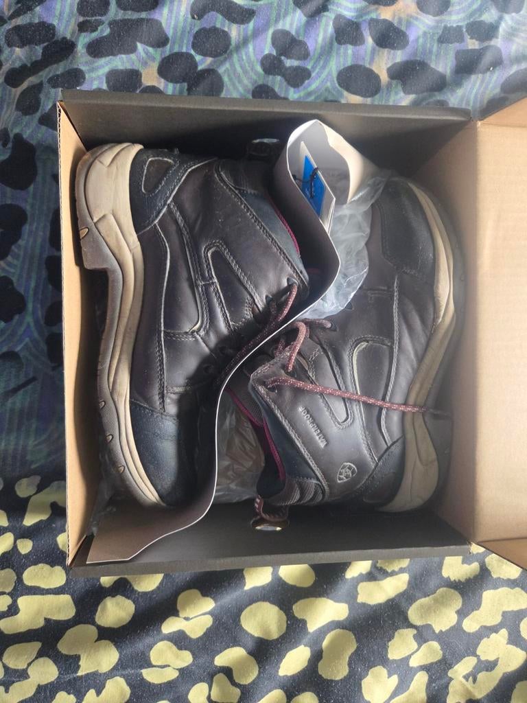 Ariat schoenen, Ophalen of Verzenden, Dressuur, Schoeisel
