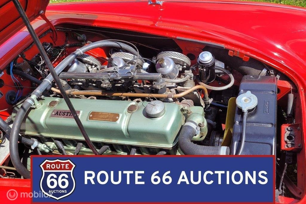 Austin-Healey 3000 Mk II BT7 | Route 66 Auctions, foto 6