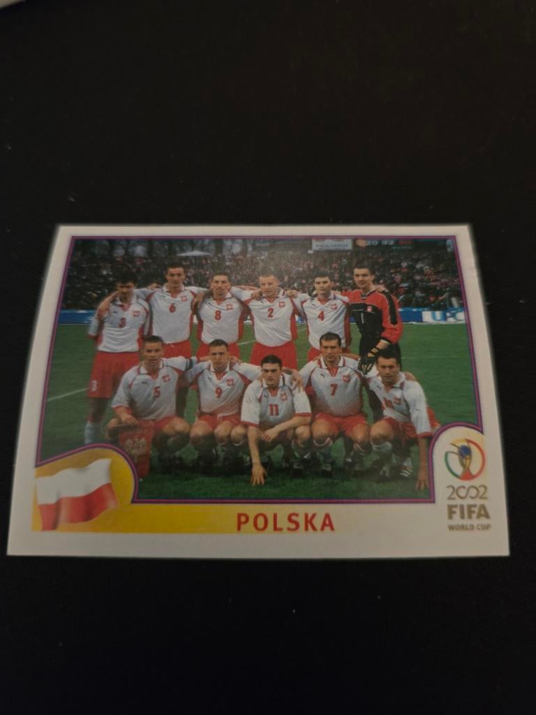 Panini Fifa world cup 2002, Ophalen of Verzenden, Zo goed als nieuw, Buitenlandse clubs, Poster, Plaatje of Sticker