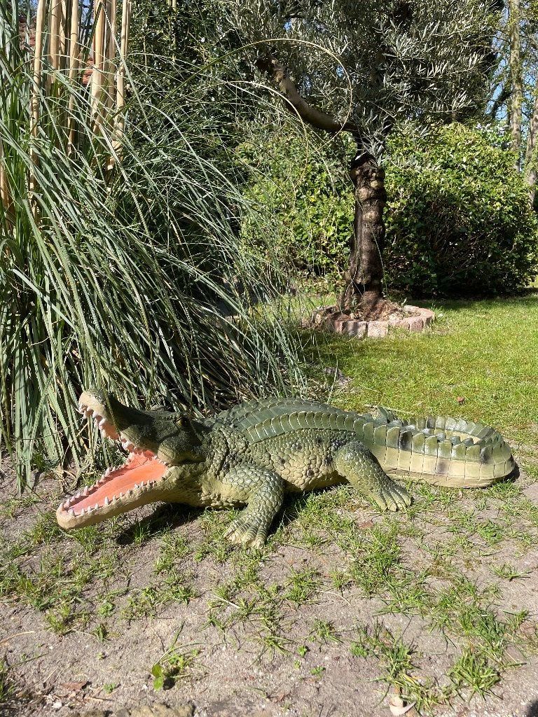 Beeld Krokodil Groen, tuin, zwembad, vijver, boerderij 100cm, Ophalen, Nieuw, Kunststof, Dierenbeeld