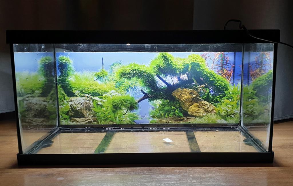 Eheim aquarium, Ophalen, Zo goed als nieuw, Leeg aquarium