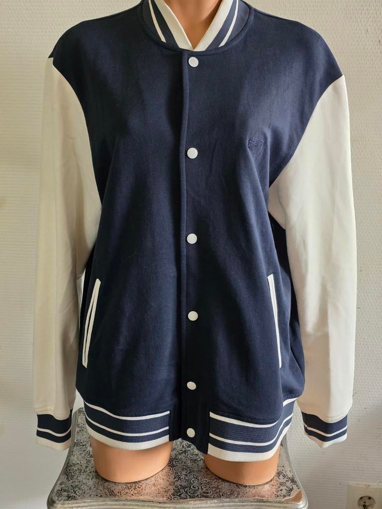 Pull & Bear heren varsity jacket maat L, Maat 52/54 (L), Blauw, Ophalen of Verzenden, Zo goed als nieuw