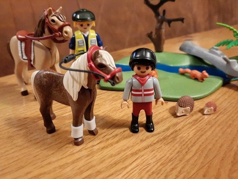 Playmobil Ponyrijles - 6947, Complete set, Overige typen, Ophalen of Verzenden, Zo goed als nieuw