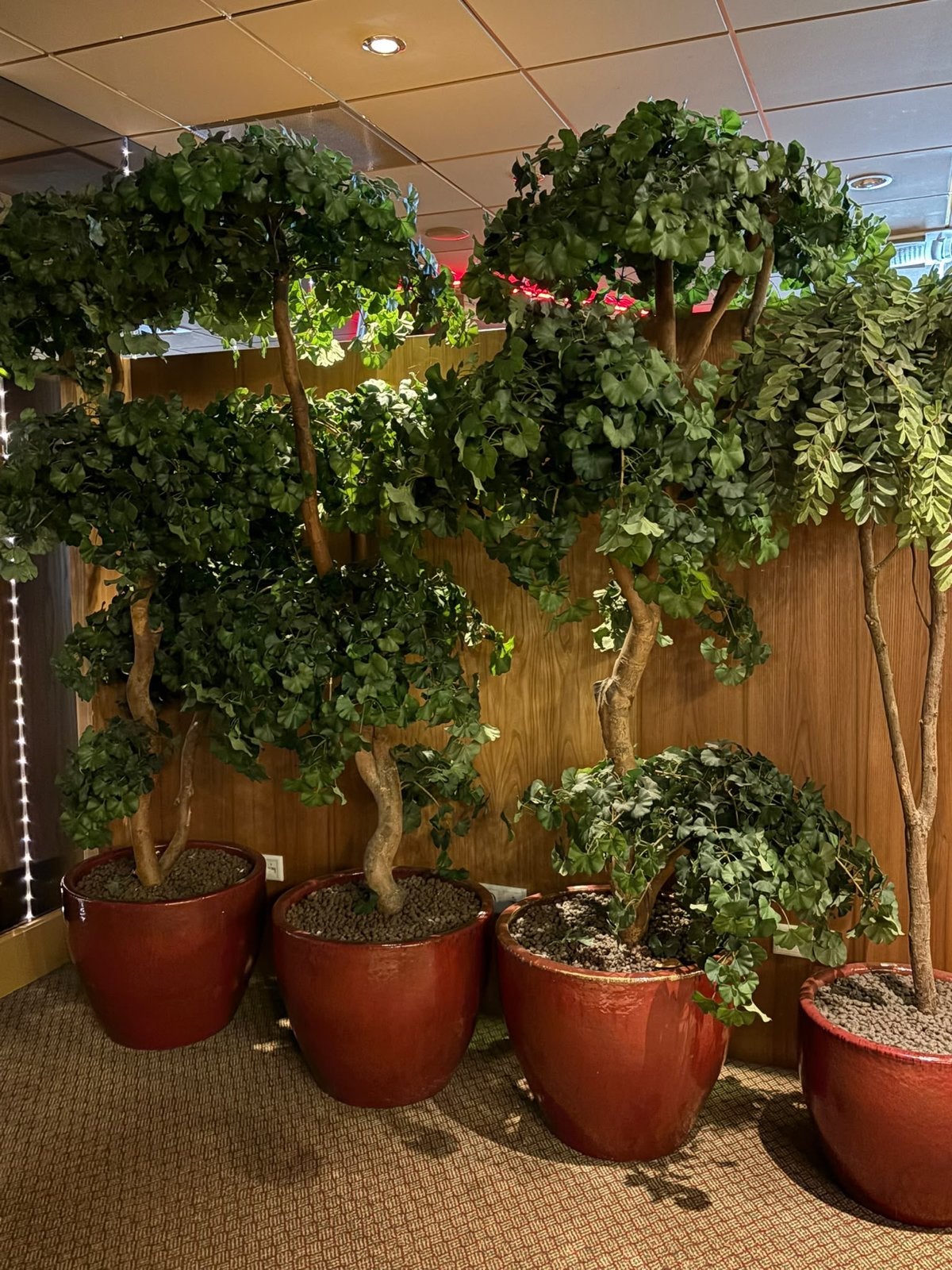 Kunstplanten in rode potten - 6 stuks beschikbaar, Ophalen, Binnen, Groen, Kunstplant