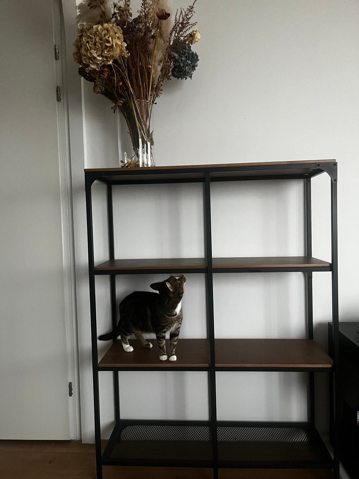 Book shelf, Ophalen, Zo goed als nieuw