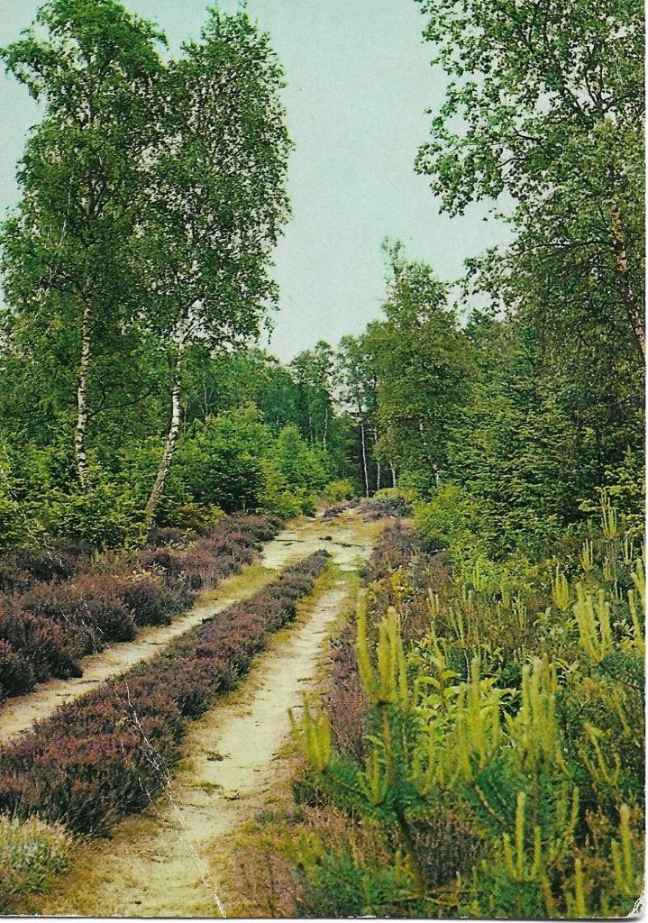 Ermelo- -Bospaadje., Ophalen of Verzenden, 1960 tot 1980, Gelopen, Gelderland