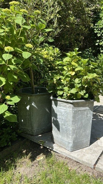 Zinken plantenbakken INCLUSIEF planten !!!, Ophalen, Overige materialen, Gebruikt, Overige vormen