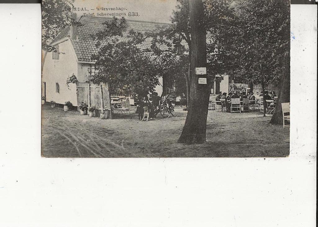 Scheveningen Duindal met Terras 16-7-1931, Ophalen of Verzenden, 1920 tot 1940, Gelopen, Zuid-Holland