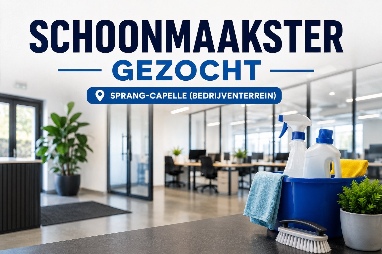 Schoonmaakster Gezocht – Sprang-Capelle, Diensten en Vakmensen, Huishoudelijke hulp