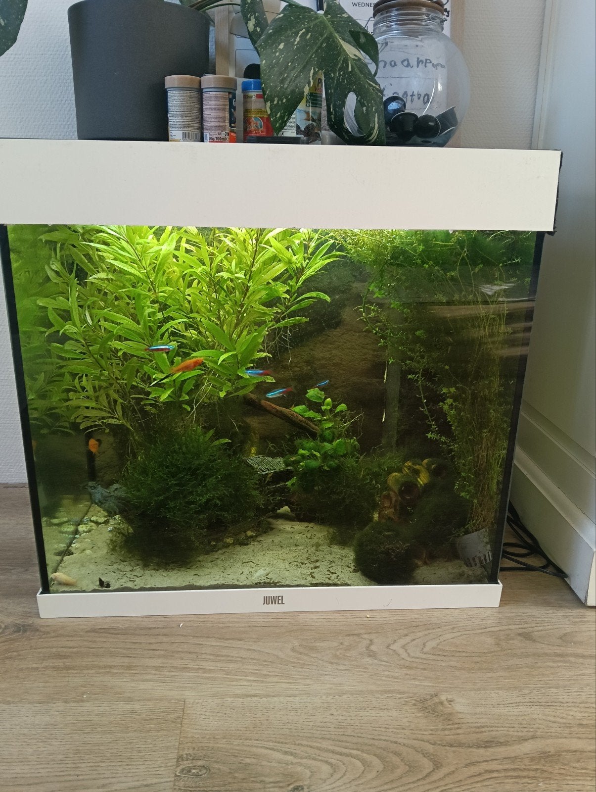 Juwel lido 200 led aquarium bak. (eventueel met toebehoren), Dieren en Toebehoren, Vissen | Aquaria en Toebehoren, Ophalen of Verzenden