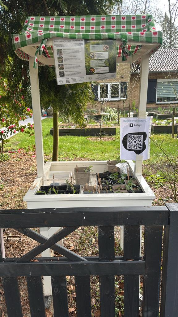 Diverse zelf gekweekte kruidenplantjes, Ophalen, Vaste plant, Halfschaduw, Zomer