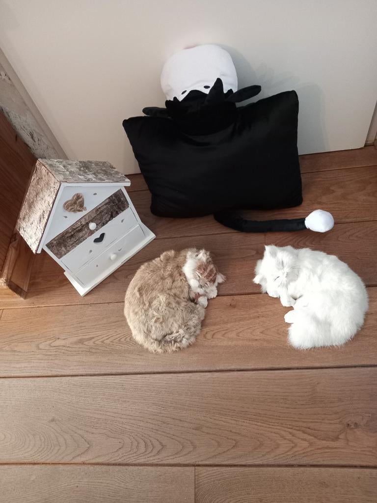 Woonaccessoires, Huis en Inrichting, Woonaccessoires | Overige, Ophalen of Verzenden, Zo goed als nieuw