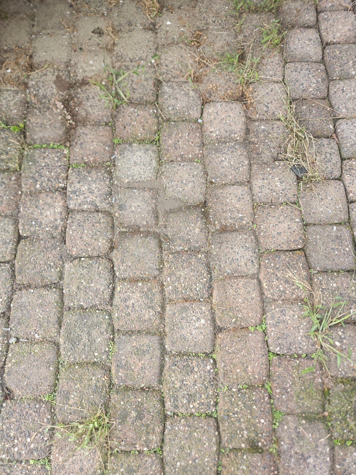 36 vierkante meter bestrating, Tuin en Terras, Ophalen, Beton, Klinkers
