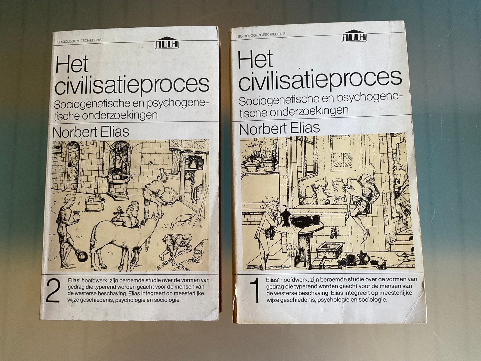 Norbert Elias: het civilisatieproces deel 1 en 2, Ophalen of Verzenden