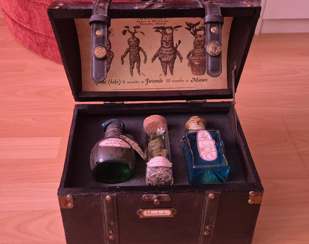 Harry Potter Mandrake kist, Ophalen, Zo goed als nieuw, Overige typen