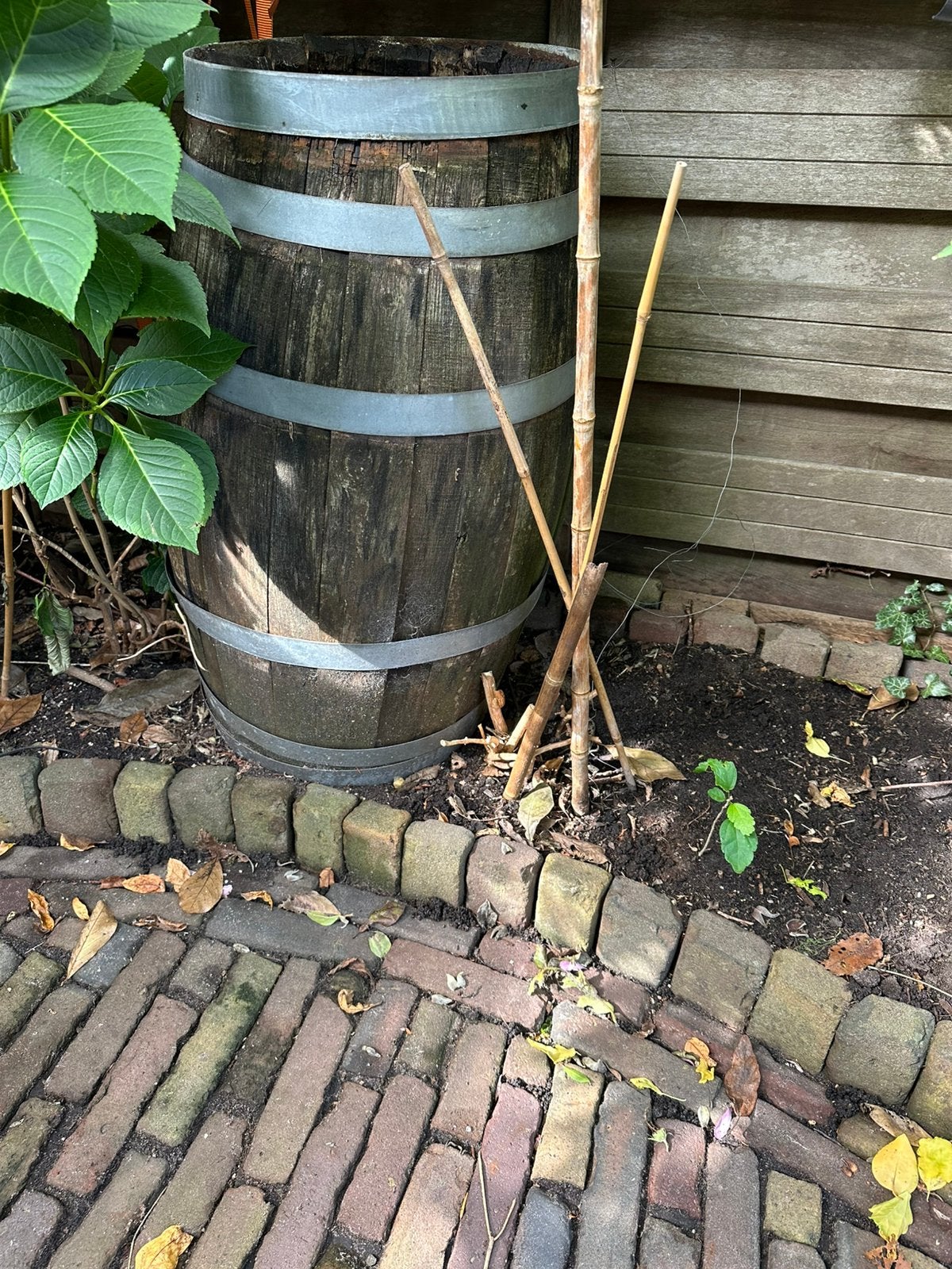 Wijnvat (opknapper ), Ophalen, Gebruikt, Rond, 60 cm of meer