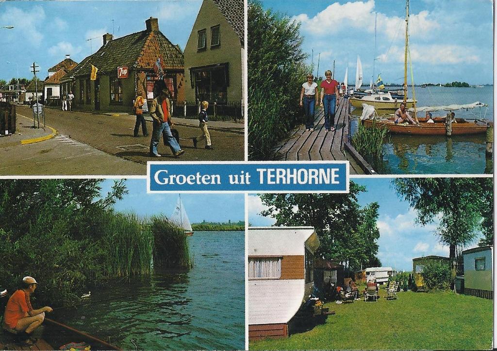 Q2945 gelopen ansichtkaart groeten uit terhorne, Ophalen of Verzenden, Voor 1920, Gelopen