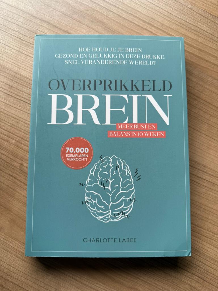 Charlotte Labee - Overprikkeld brein, Ophalen of Verzenden, Zo goed als nieuw, Charlotte Labee