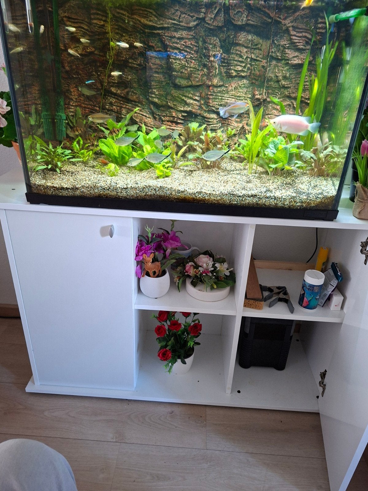 aqurium met kast, Ophalen